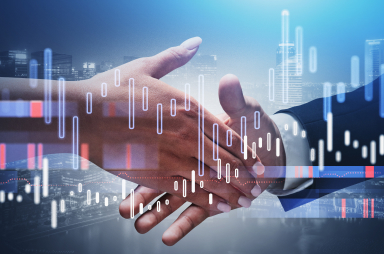 Integration Consulting service
