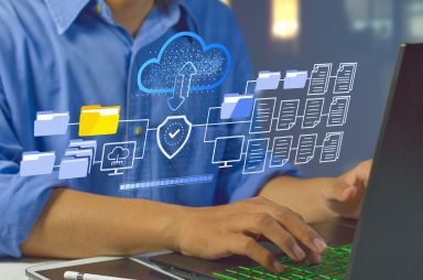 Enterprise System Migration service